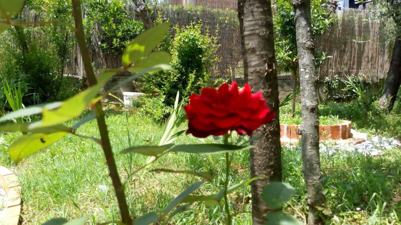 شقة Tea كوتور المظهر الخارجي الصورة
